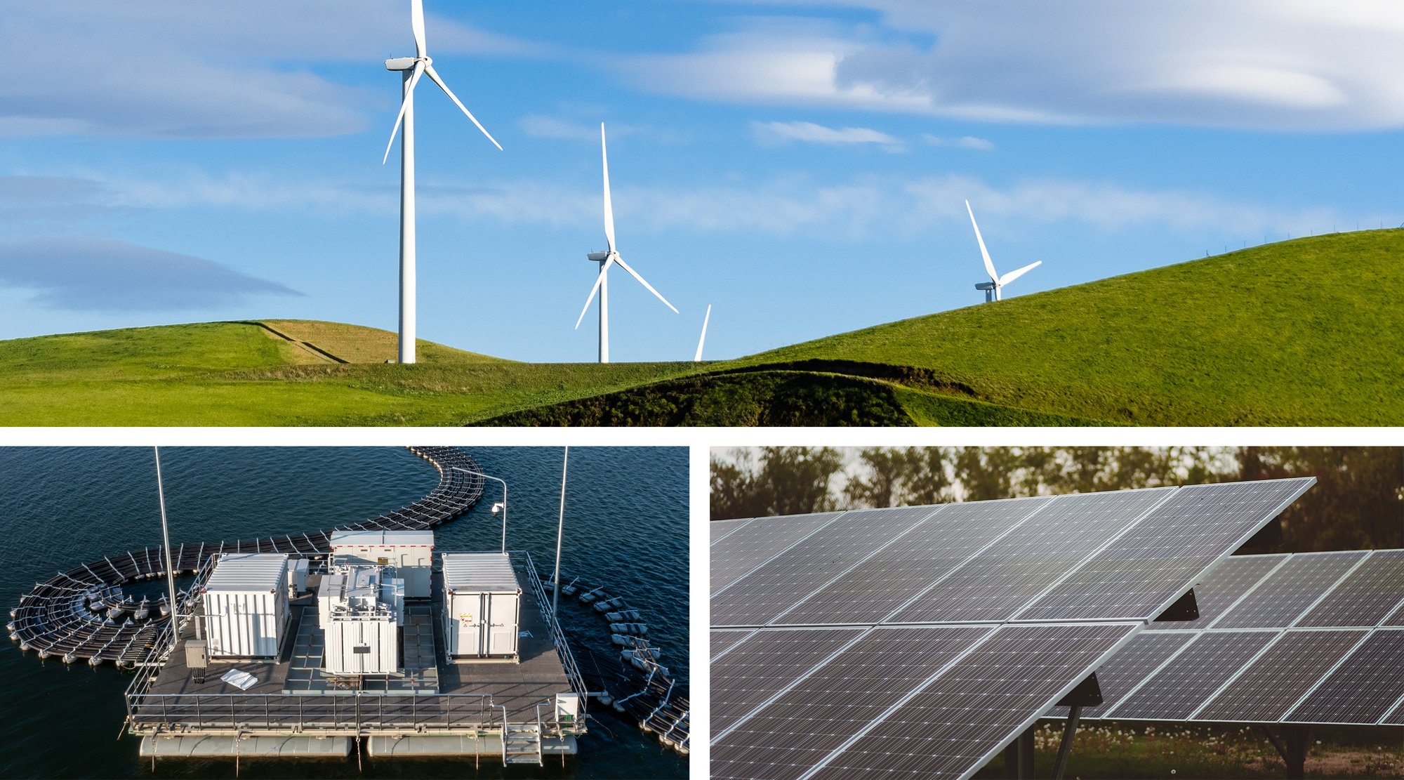 Blog Card_Land Management Blog