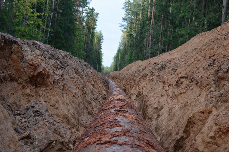 ChatGPT Image Feb 12, 2026, 03_23_49 PM