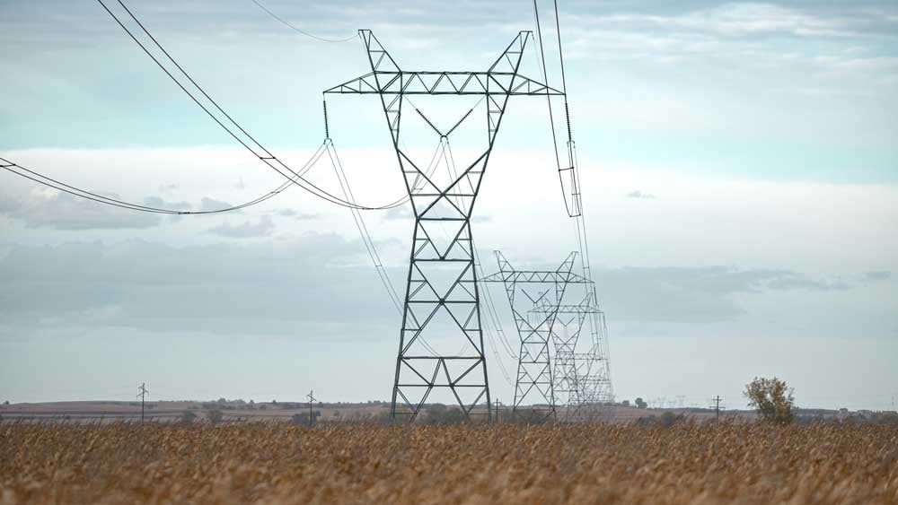 High-voltage power lines pass through a wheat field