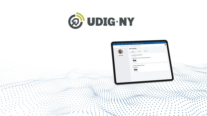 UDigNY_Case Study_Hero Image