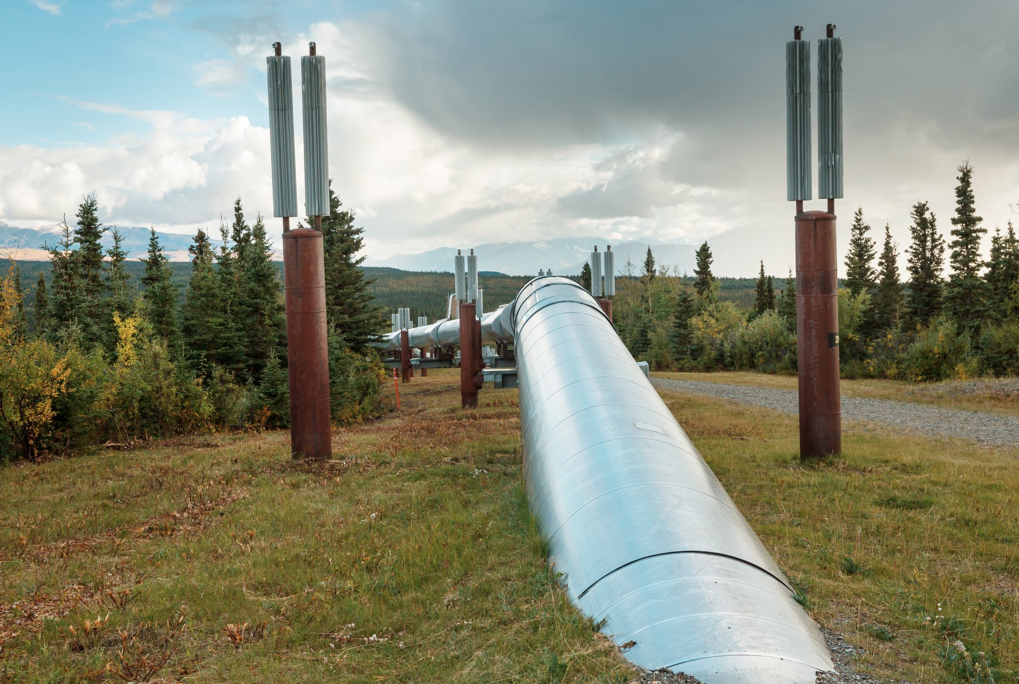 pipeline-2025-01-09-03-30-23-utc