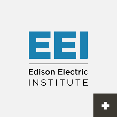 EEI_Partner-1