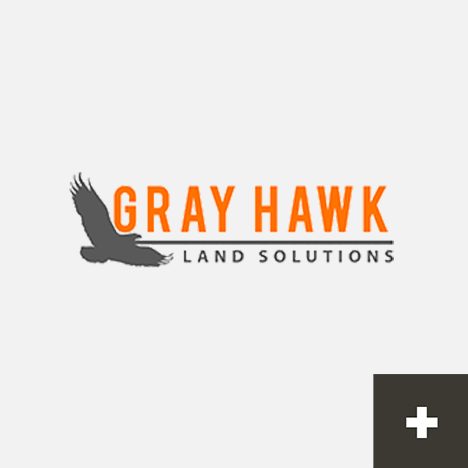 Grayhawk